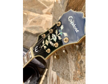 Epiphone Sheraton II (11349)
