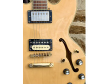 Epiphone Sheraton II (62692)