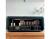 Sovtek MIG 100 (11223)