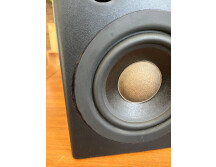 Fostex PM-1 (46683)