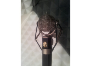 Blue Microphones Dragonfly (47954)