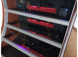 Synthracks 12U 104hp walnut Case (5545)