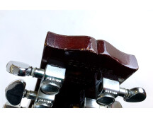 Gibson Chet Atkins Tennessean (77016)