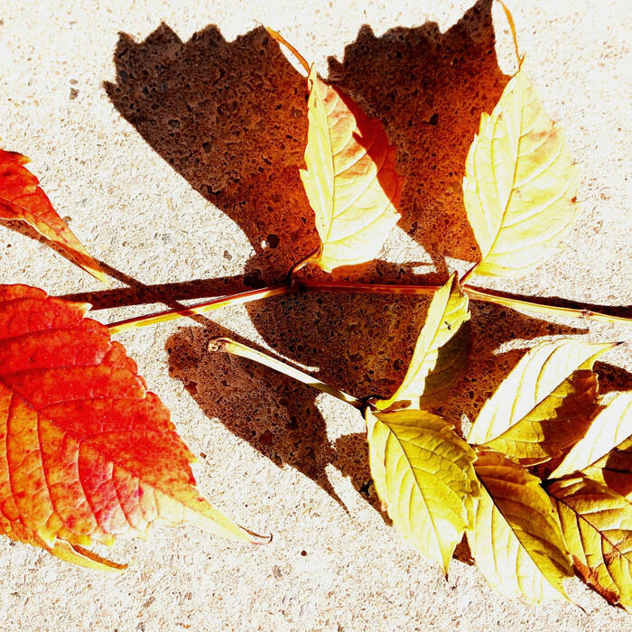 6620323.jpg 6620323.jpg