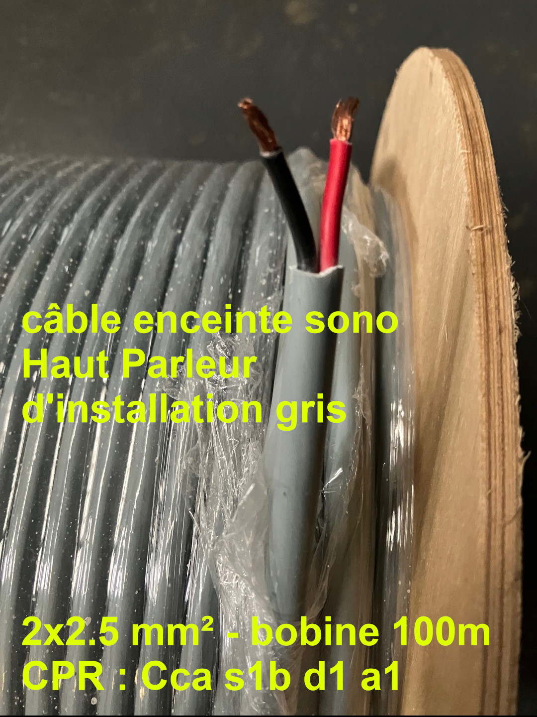 SPKCAB-225-CPR-100M 2