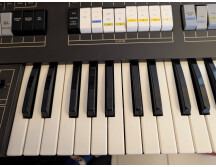 PXL 20251007 121450180