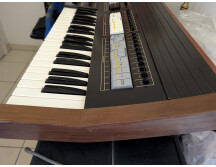 PXL 20251007 121459617