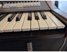 PXL 20251007 121529838