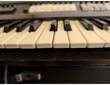 PXL 20251007 121532351