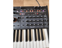 PHOTO-2025-10-06-16-02-19 2