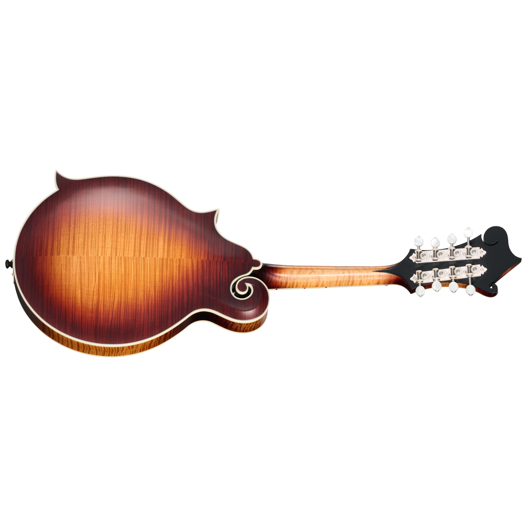 Sierra Hull F-5 Master ModelBACK