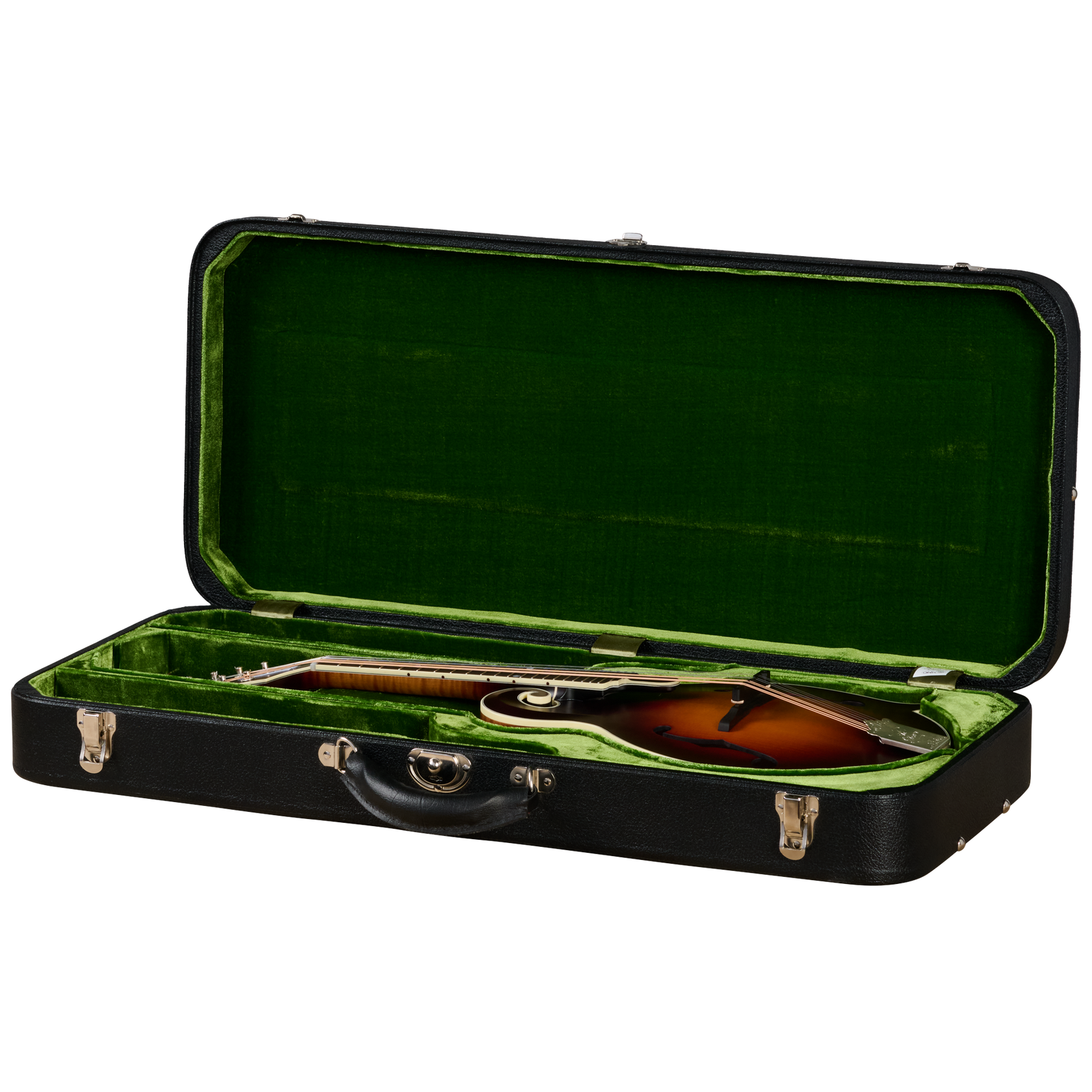 Sierra Hull F-5 Master ModelCASE