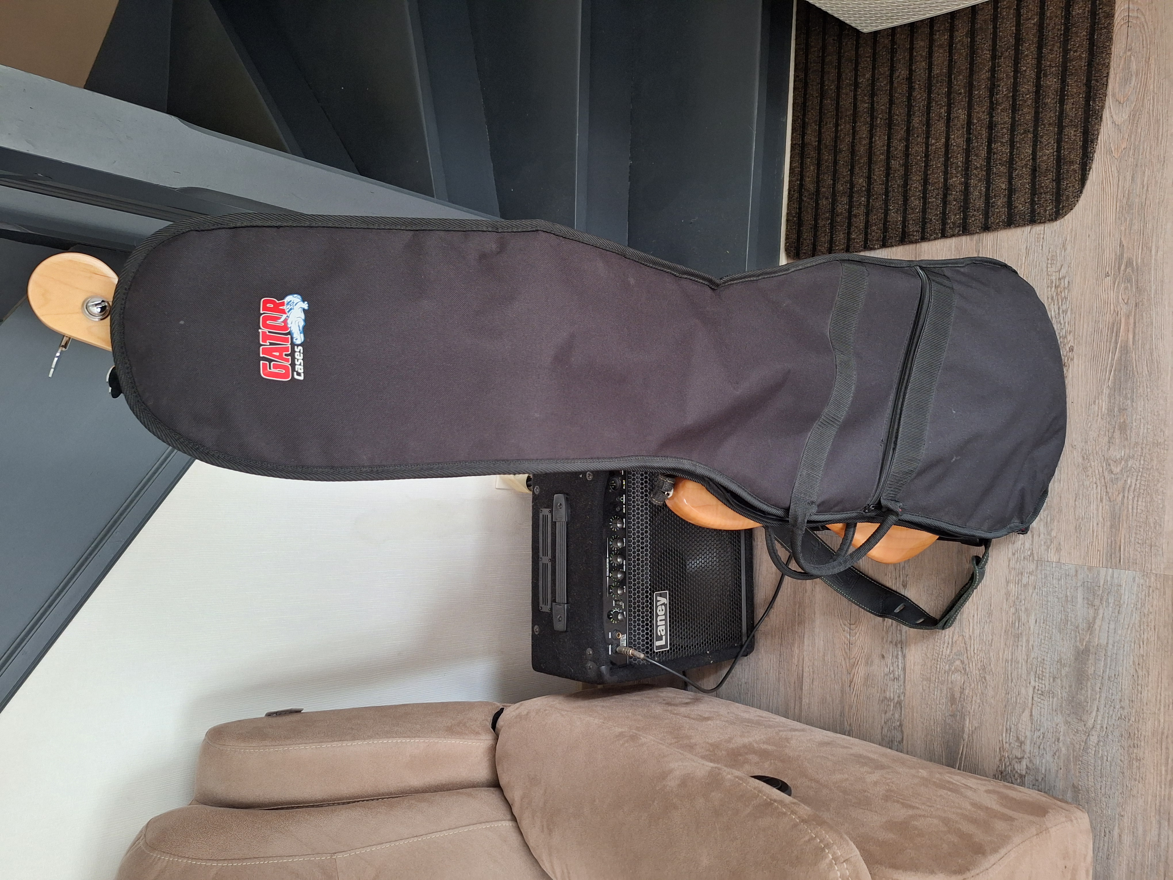 Vends guitare basse électrique 