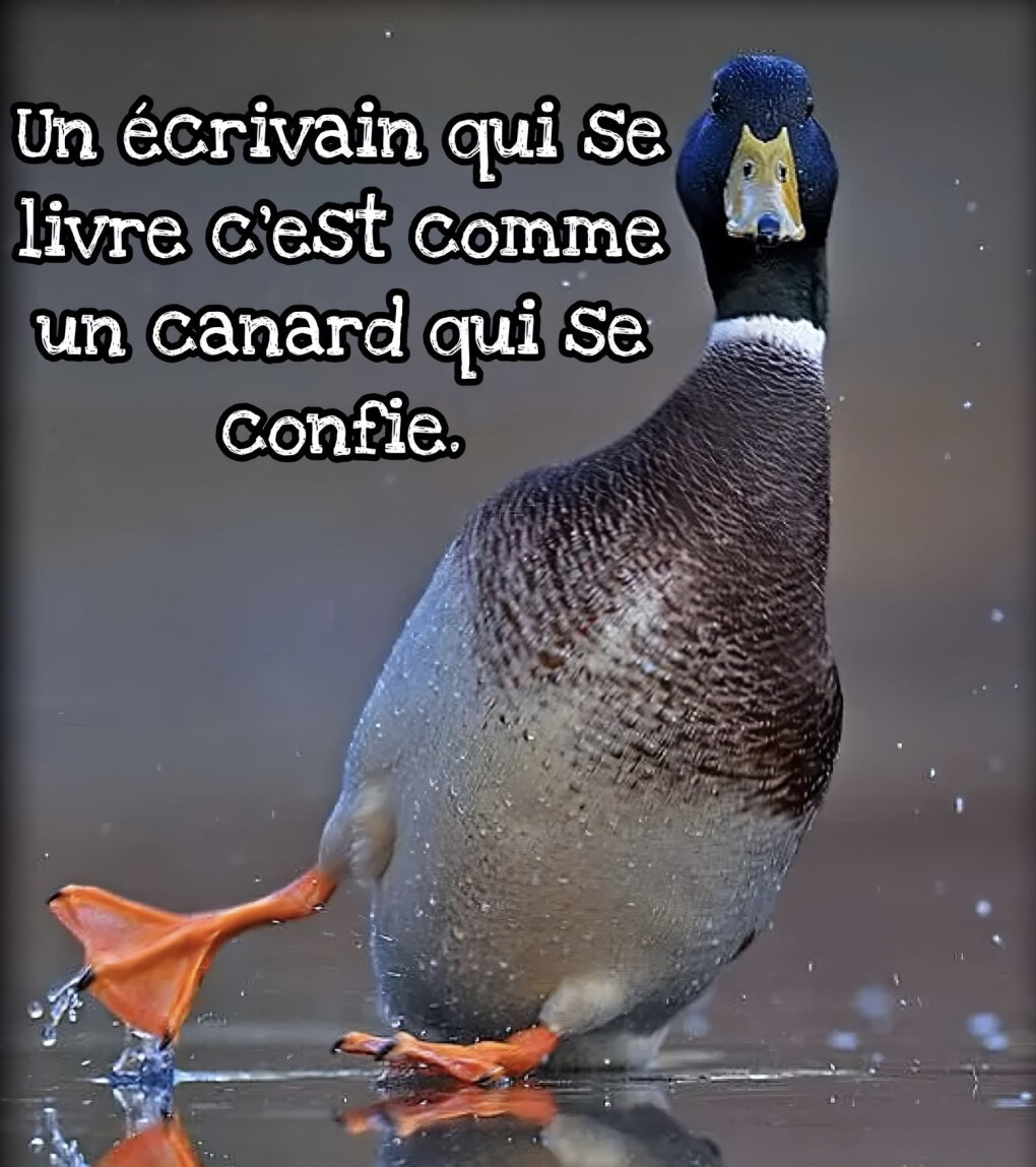 6622191.jpeg 6622191.jpeg