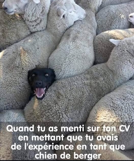 6622644.jpg 6622644.jpg