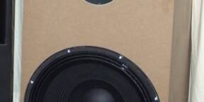 subwoofer CAD SW21 caisson de basses Beyma 21"