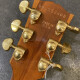Les Paul Standard DC Les Paul Standard DC