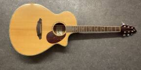 BREEDLOVE - Stage Exotic J350/EF