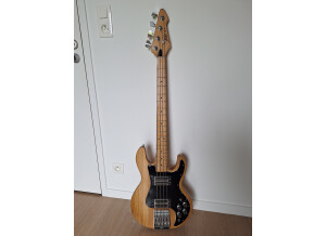 Peavey T-40 (70069)