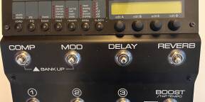 TC ELECTRONIC G-NATURAL