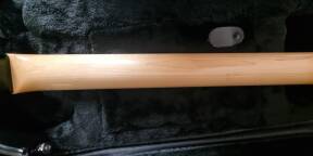 Vends guitare MAGNETO SONNET (type stratocaster)