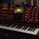 Minimoog Voyager Select Series Minimoog Voyager Select Series