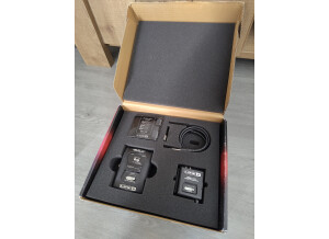Line 6 Relay G30 (97013)