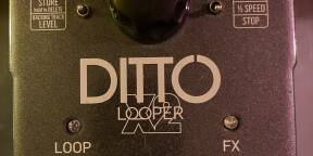 Ditto looper