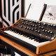Subsequent 37 Subsequent 37