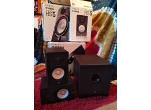 lot-yamaha-2x-5171125