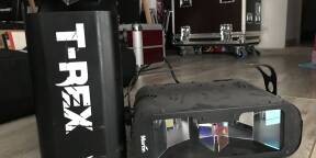 Vend 1 raptor et 1 t rex
