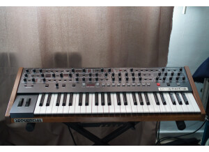 Sequential Prophet-6 (46253)