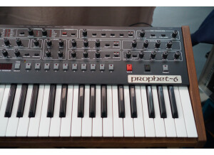Sequential Prophet-6 (45615)
