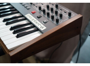 Sequential Prophet-6 (33220)
