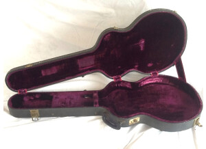 Gibson ES-335 TD (6661)