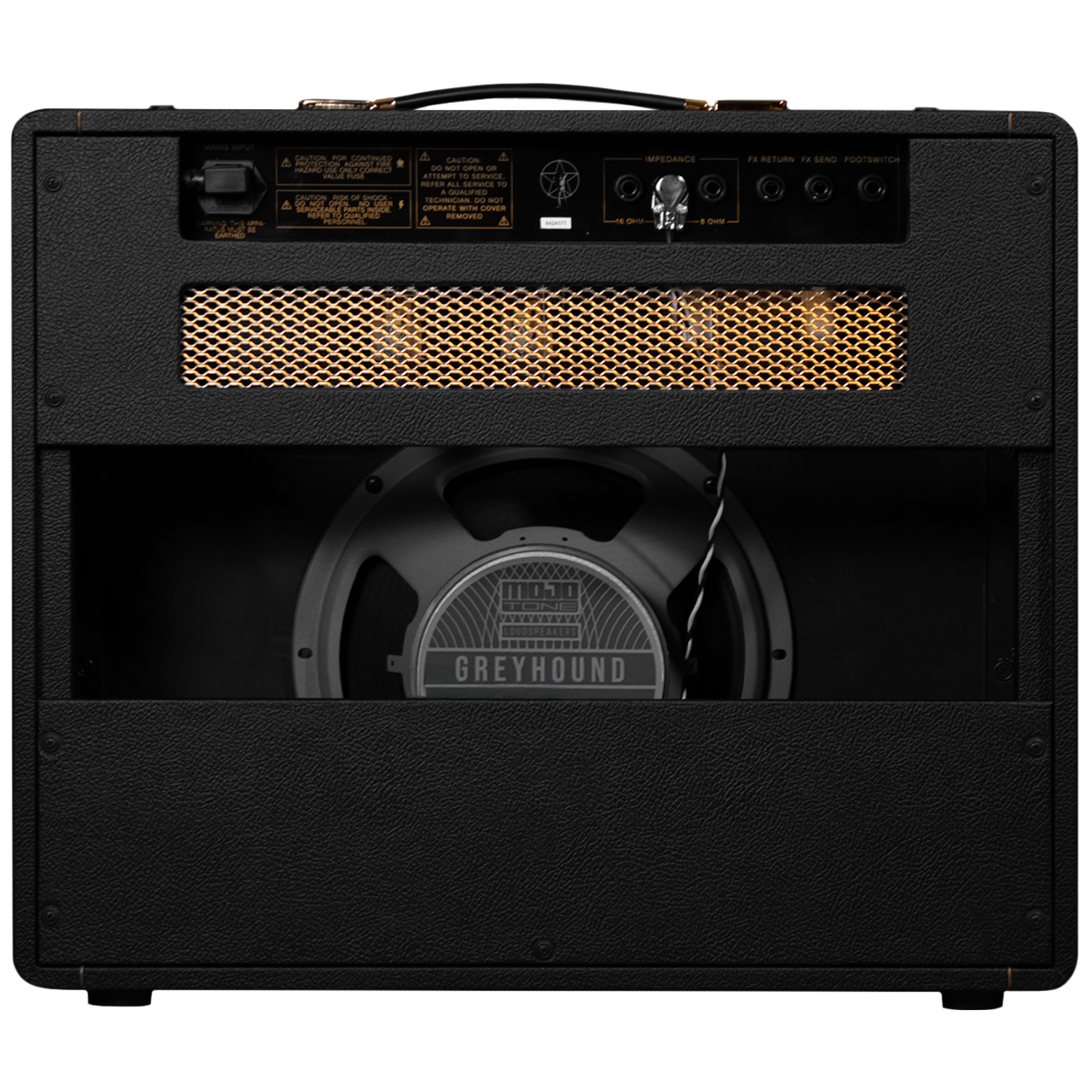 LERXST CH1 Combo Amp : CH1 Combo Amp REAR