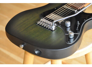 Ibanez EH10 Erick Hansel Signature (26309)