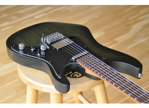 Ibanez EH10 Erick Hansel Signature (54824)
