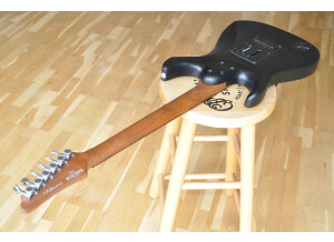 Ibanez EH10 Erick Hansel Signature (30615)