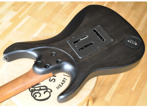 Ibanez EH10 Erick Hansel Signature (51233)