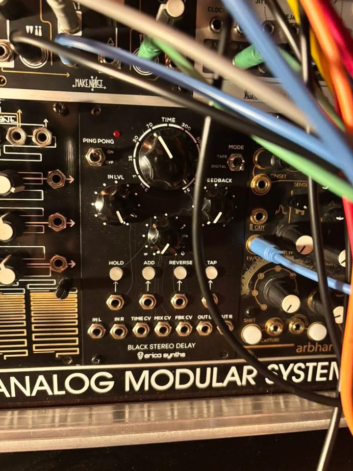 Vends black stéréo delay erica synth