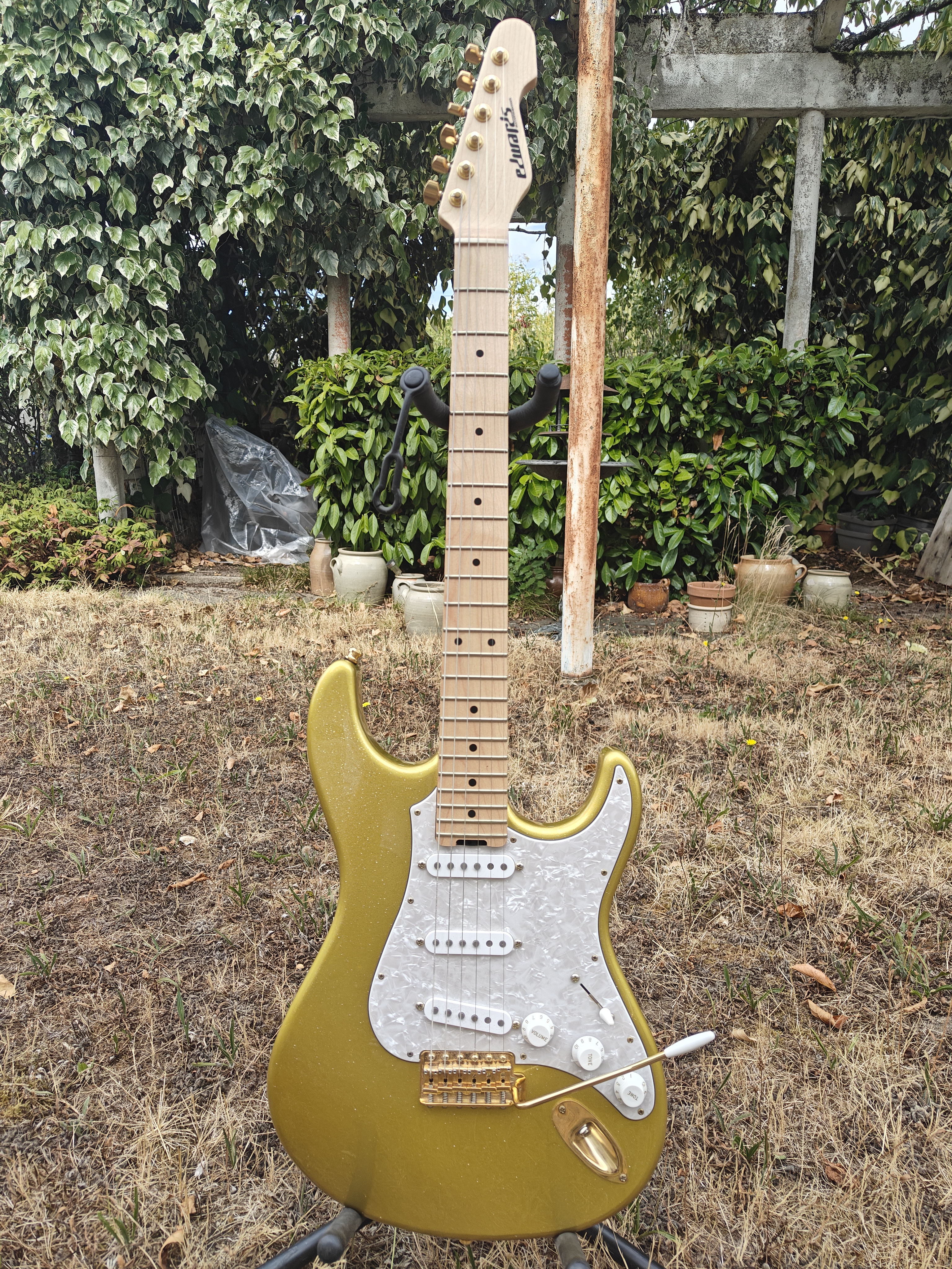 Edwards Snapper Eclipse Gold