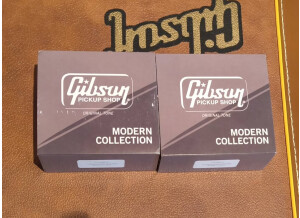 565120832 122156050160824408 2502905833770966435 n