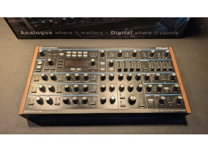 Novation Peak (60841)
