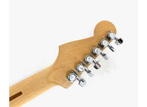 Fender Reclaimed Old-Growth Redwood Stratocaster (51043)