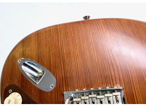 Fender Reclaimed Old-Growth Redwood Stratocaster (89801)