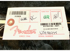 Fender Reclaimed Old-Growth Redwood Stratocaster (75431)