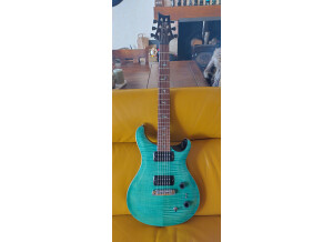 PRS SE Paul's Guitar (90281)