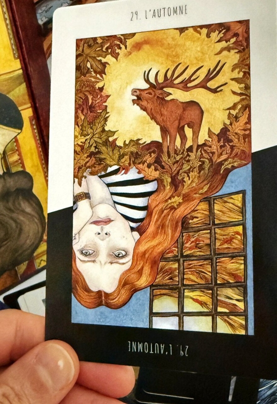 6633064.jpg 6633064.jpg