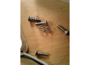 Fender Stratocaster Pickup